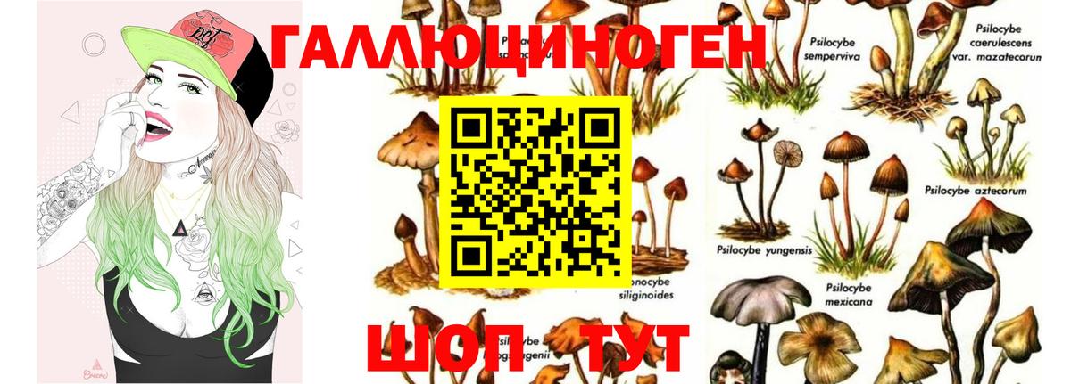 Псилоцибиновые грибы Psilocybine cubensis Новочеркасск