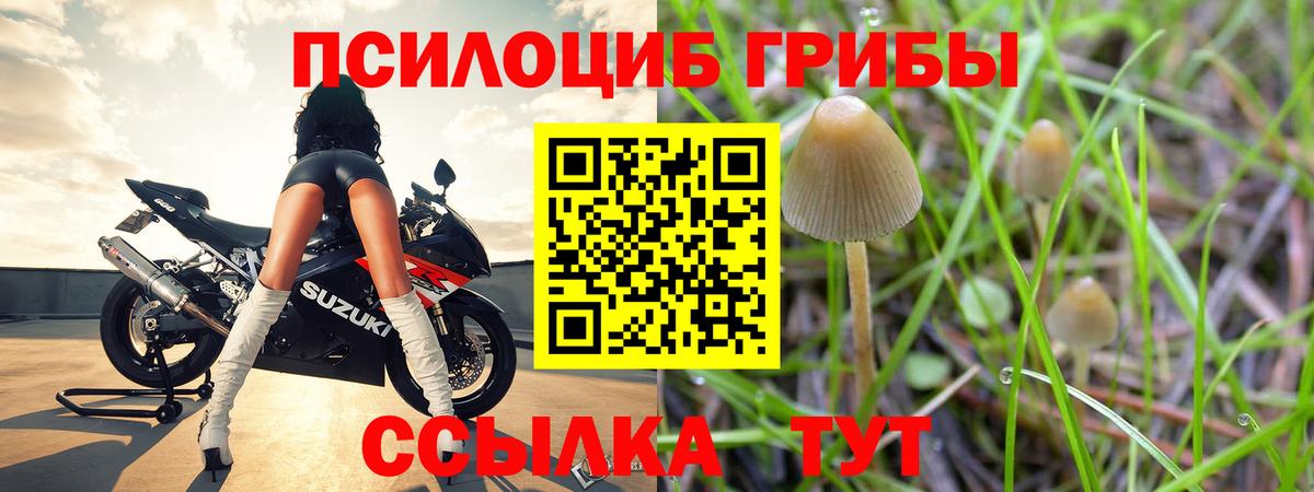 Новочеркасск  Галлюциногенные грибы ЛСД  Вход с VPN  Галлюциногенные грибы Psilocybine cubensis 